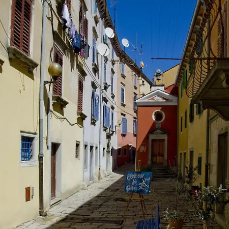 5235-1 In Apartment Drenje (Istria)